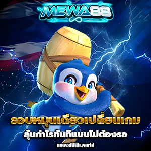 mewa 88 แตกง่าย